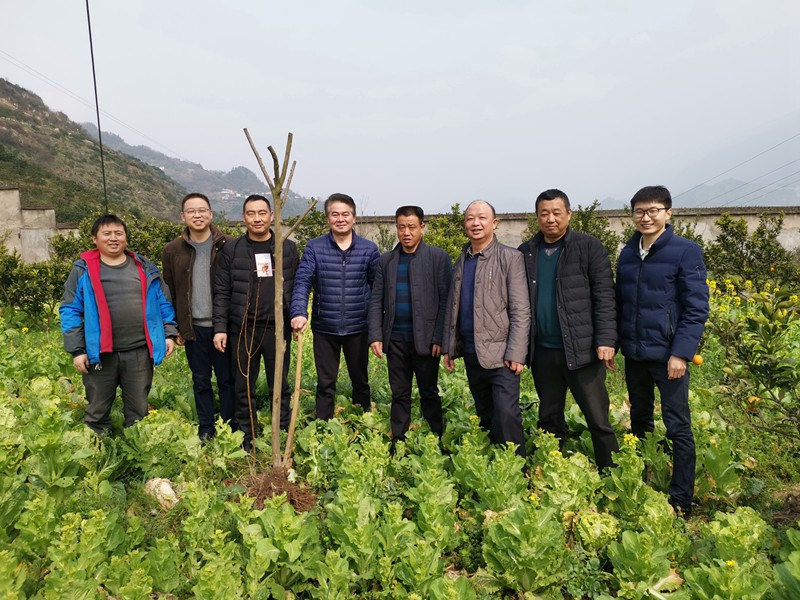 mmexport1552016641210_副本_副本.jpg mmexport1552016641210_副本_副本.jpg